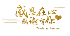 <strong>杏宇登陆感谢一路有您</strong>