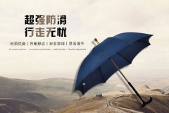 <strong>杏宇怎么注册分离式拐杖伞-可根据您的身高调节</strong>