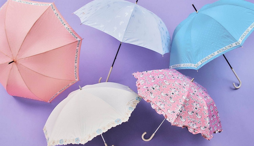 杏宇登录中心, 杏宇登录,