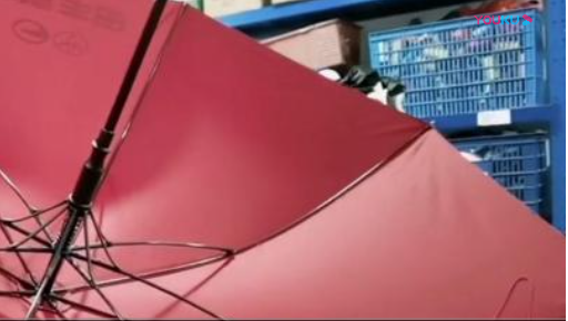 凤凰杏宇平台, 杏宇平台500平台,